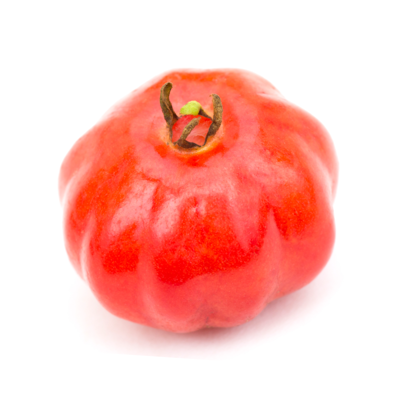 Pitanga