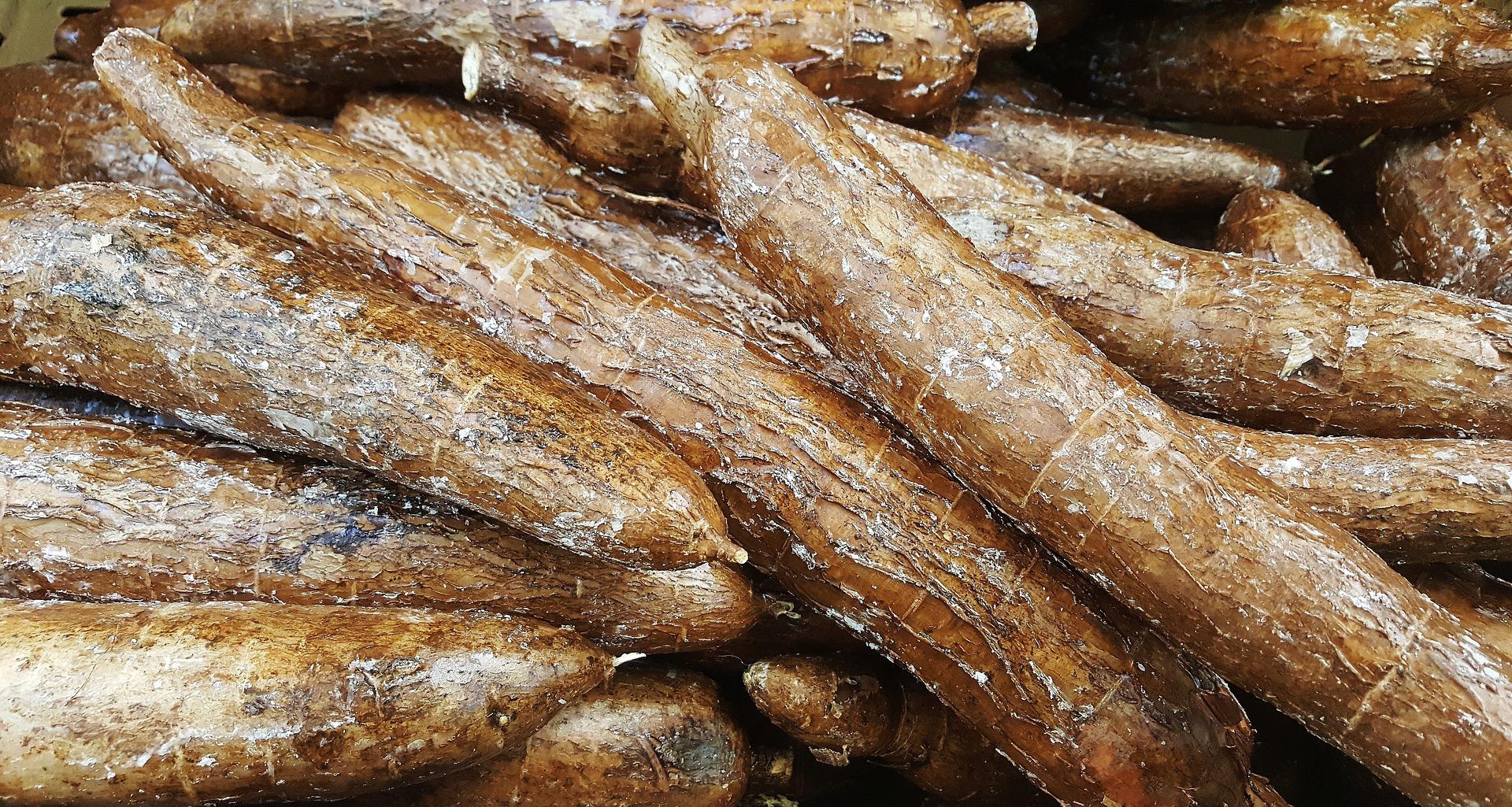 Manioc râpé