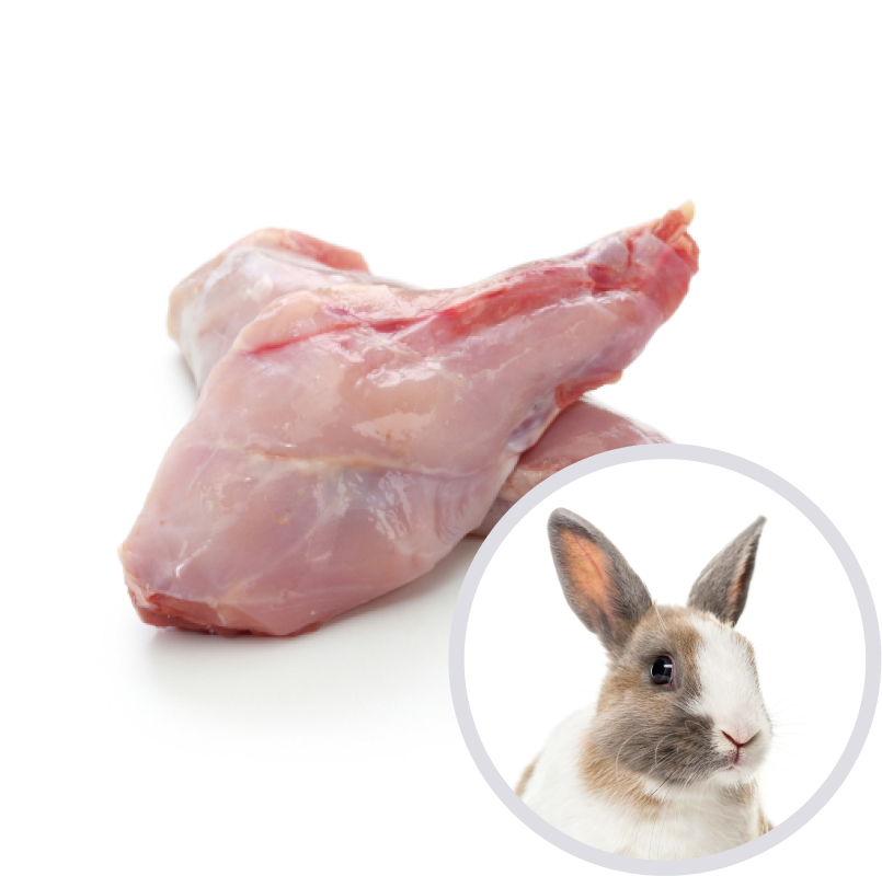 Lapin
