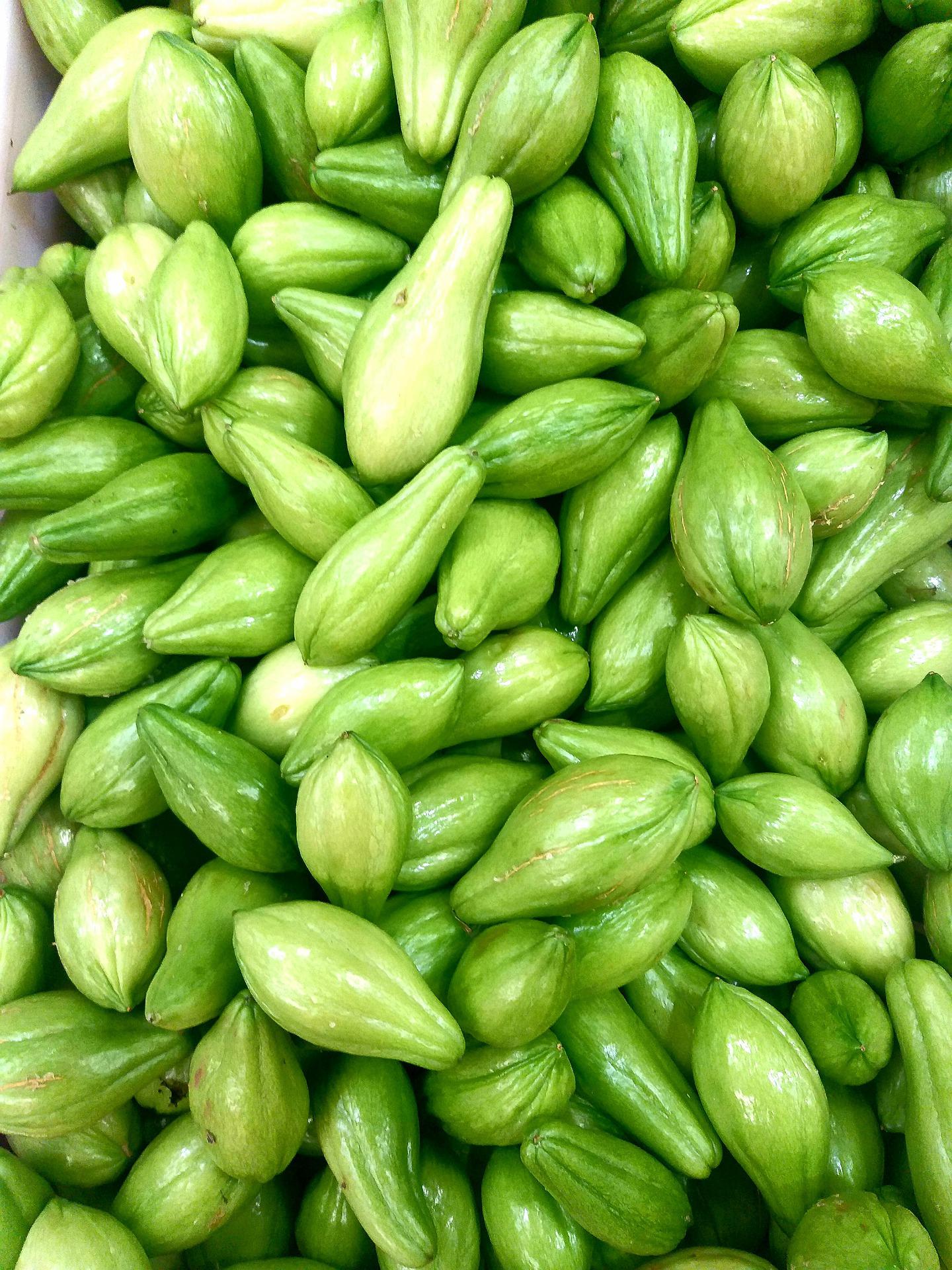 Chayote