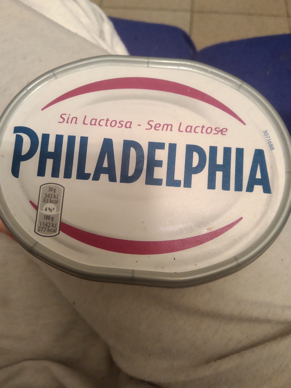 Philadelphia sin lactosa