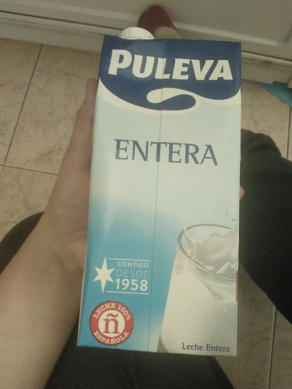 Leche entera