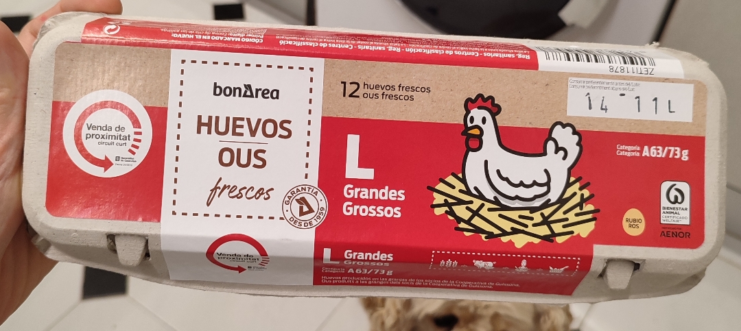 Huevos de gallina L Huevos de gallina L