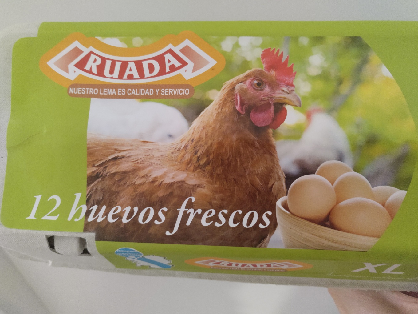 12 Huevos