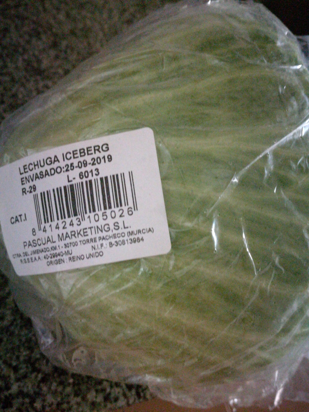 Lechuga iceberg