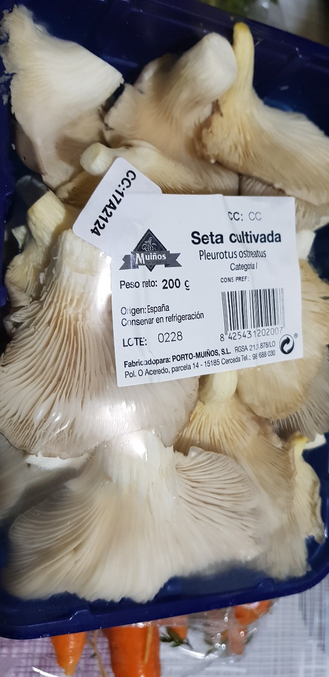 Seta cultivada