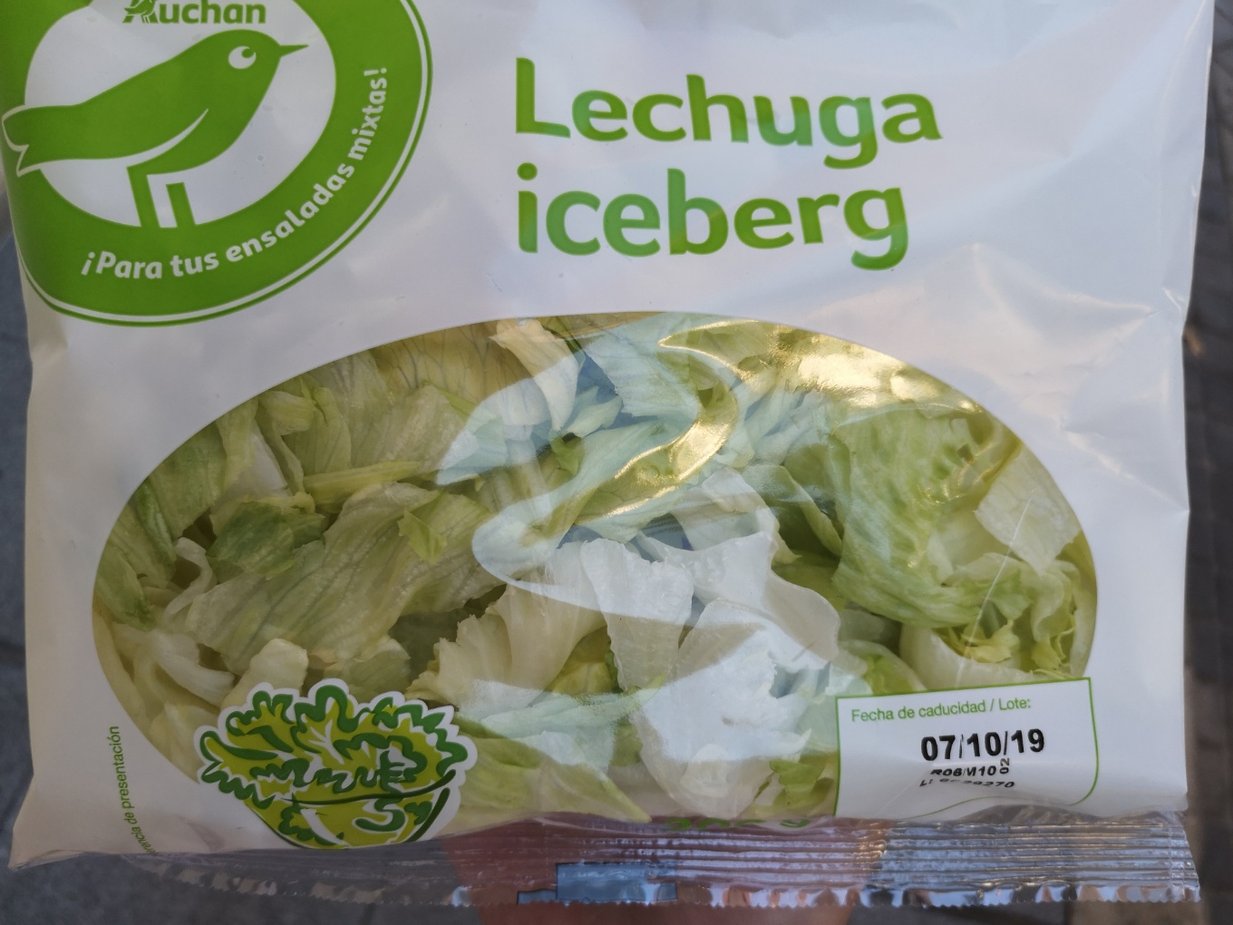 Lechuga iceberg
