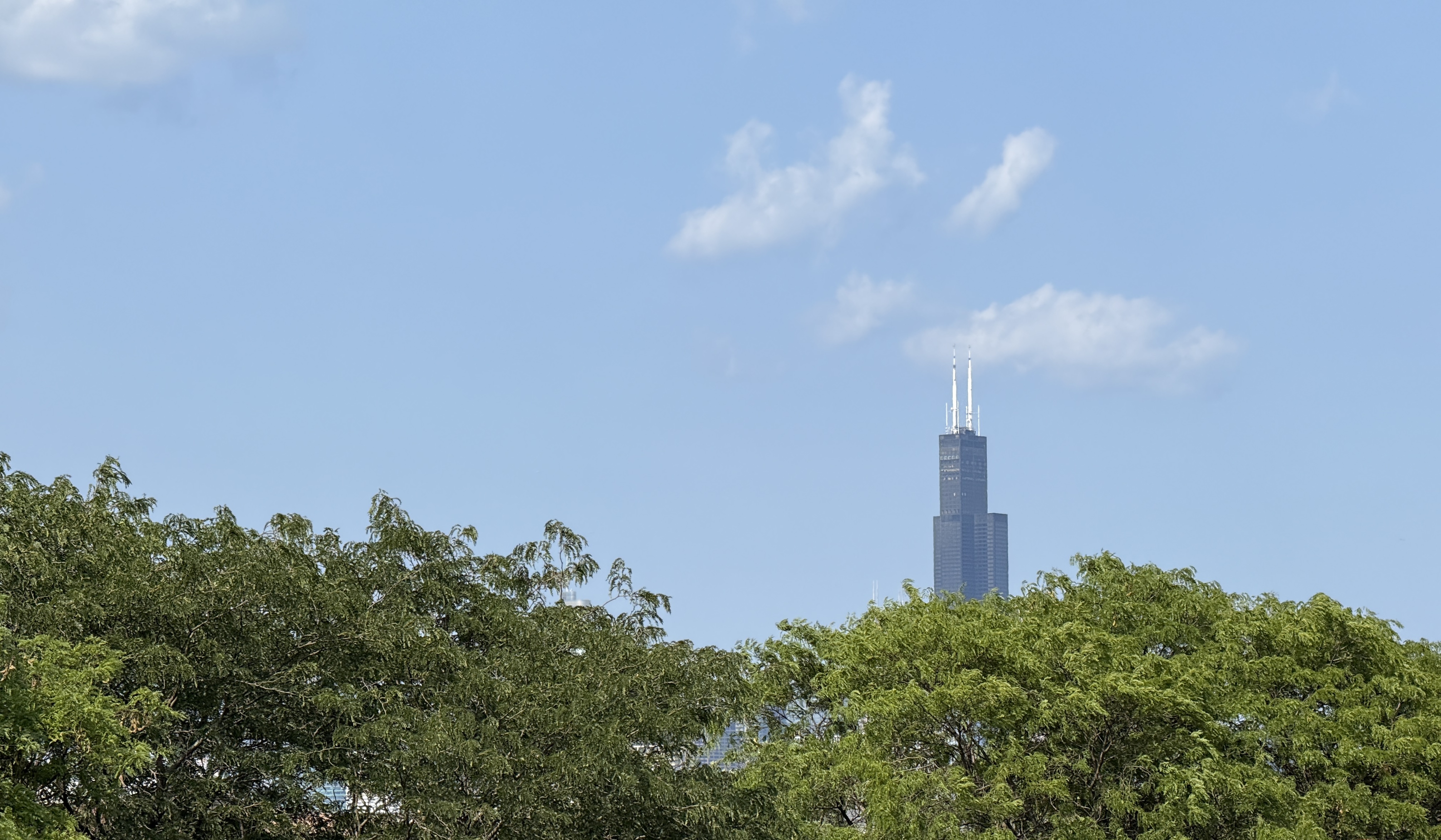 Willis Tower from Damen Pink Line