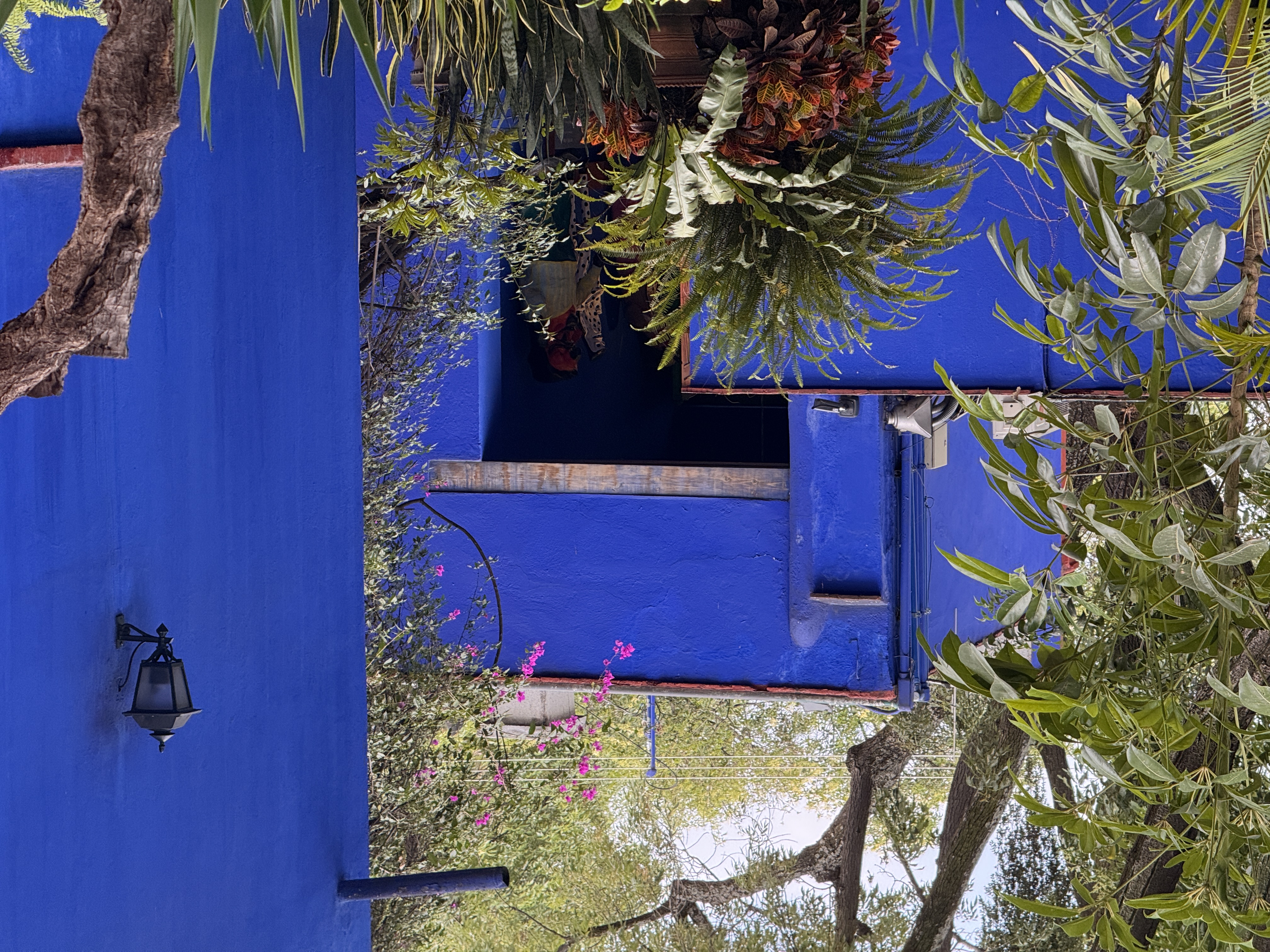 Frida Kahlo Museum