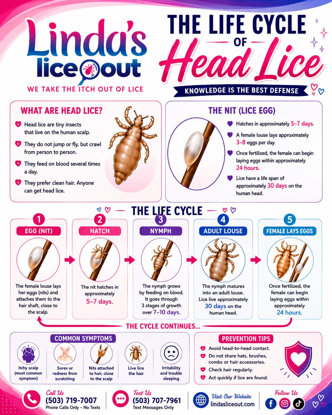 The Life Cycle of Head Lice: What Parents Need to Know