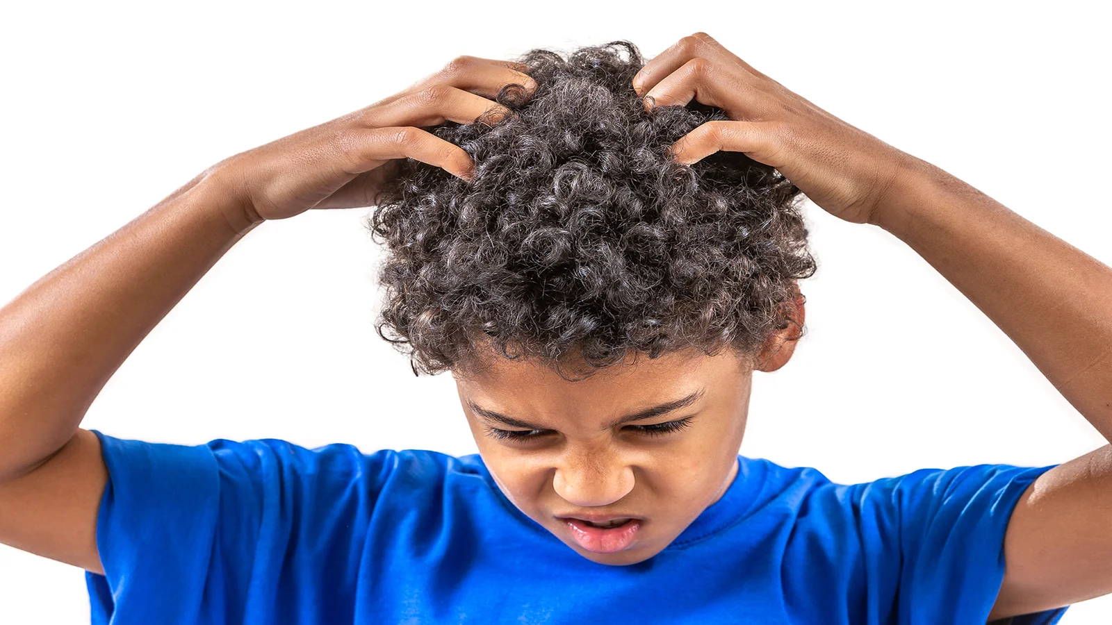 Background - Linda's Lice Out