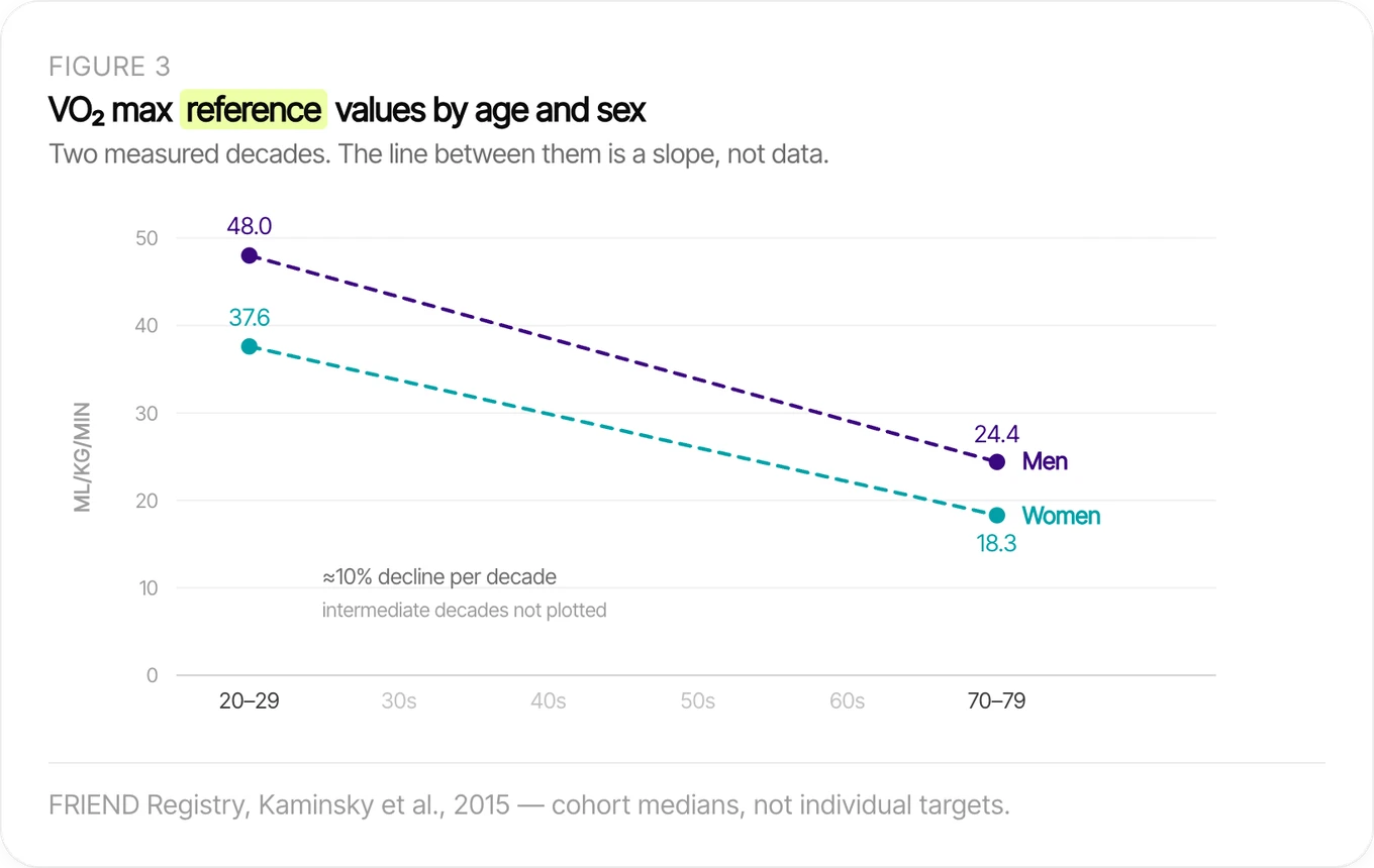 Chart of VO2 max reference values by age and sex: men fall from 48.0 to 24.4 mL per kg per minute and women from 37.6 to 18.3 between the twenties and the seventies, roughly a 10 percent decline per decade