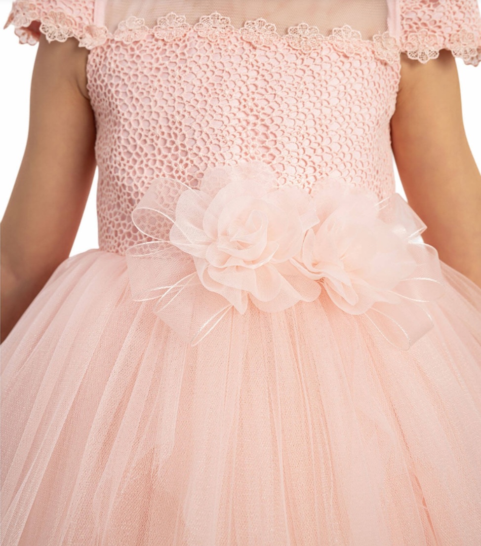 Addison Rosette — photo 4