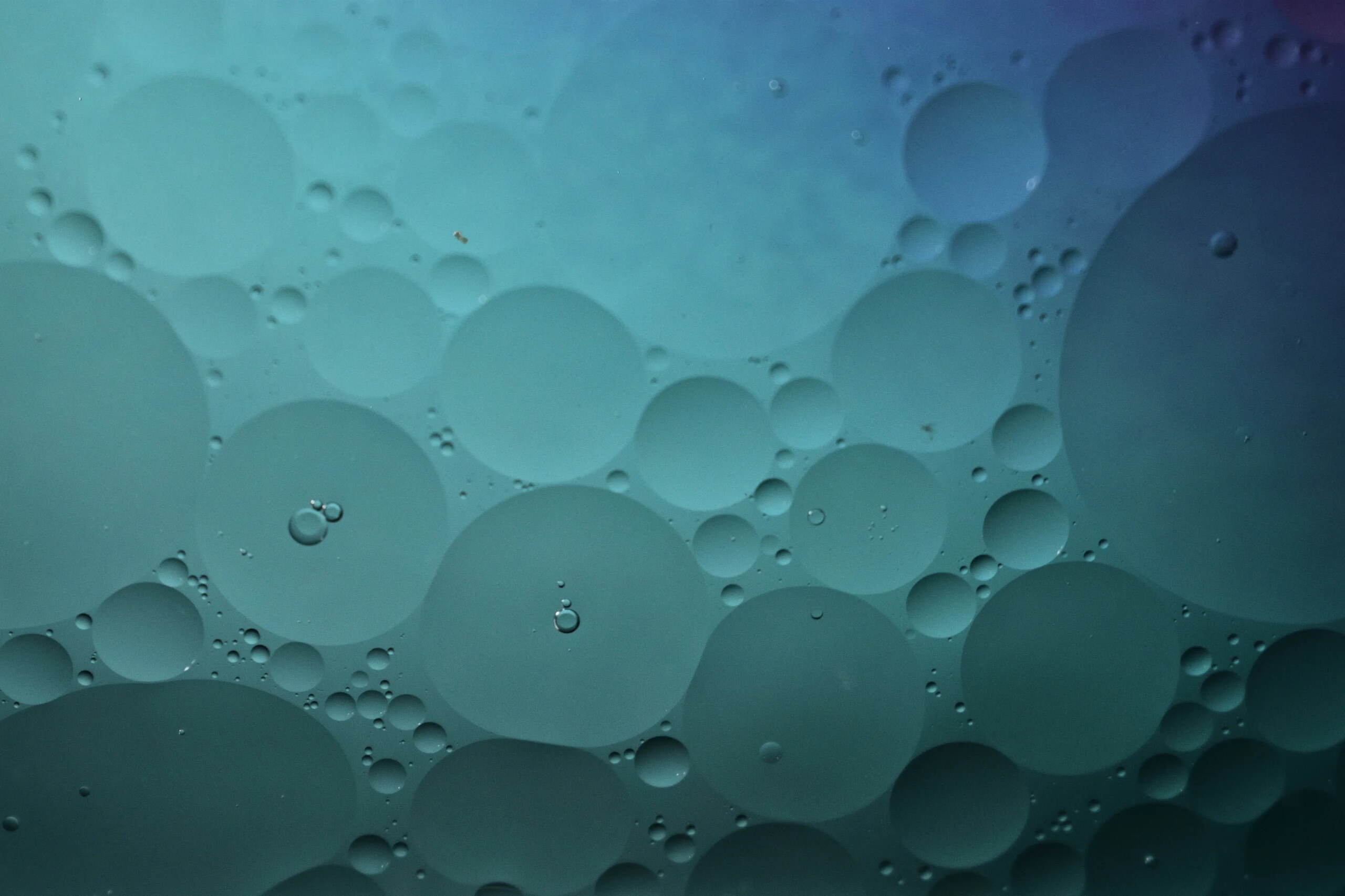 Bubbles & Color, photo 1