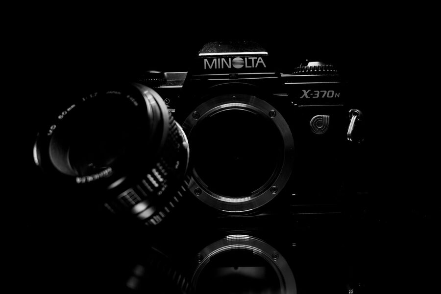 Still Life, photo 6
