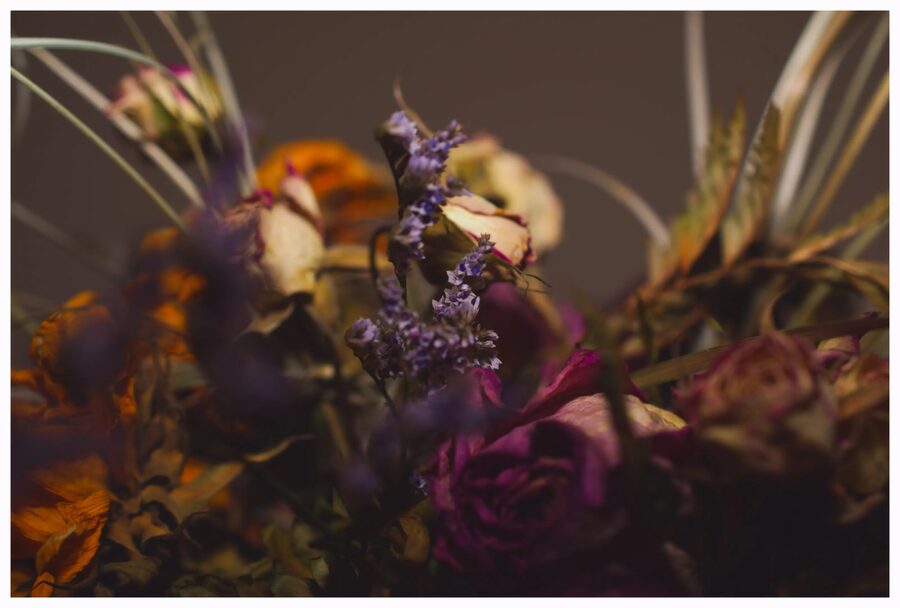 Faded Blooms, photo 10