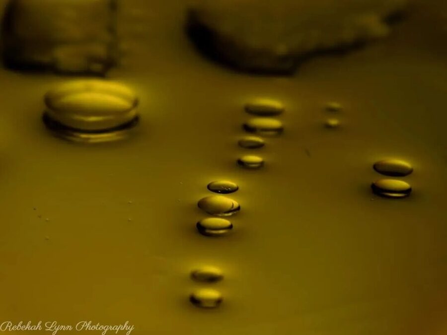 Bubbles & Color, photo 12