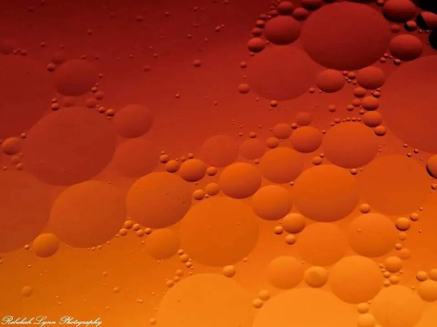 Bubbles & Color, photo 8
