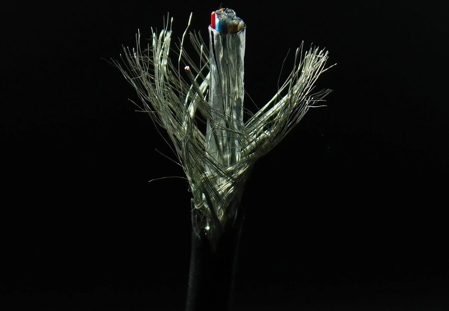 Bubbles & Color, photo 4
