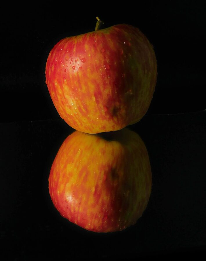 Still Life, photo 13