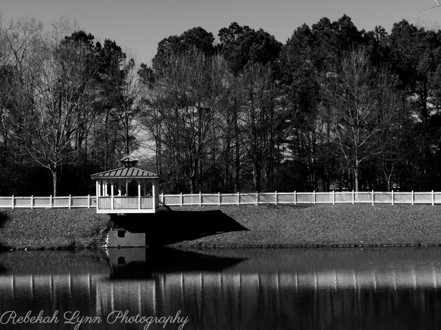 Monochrome, photo 10