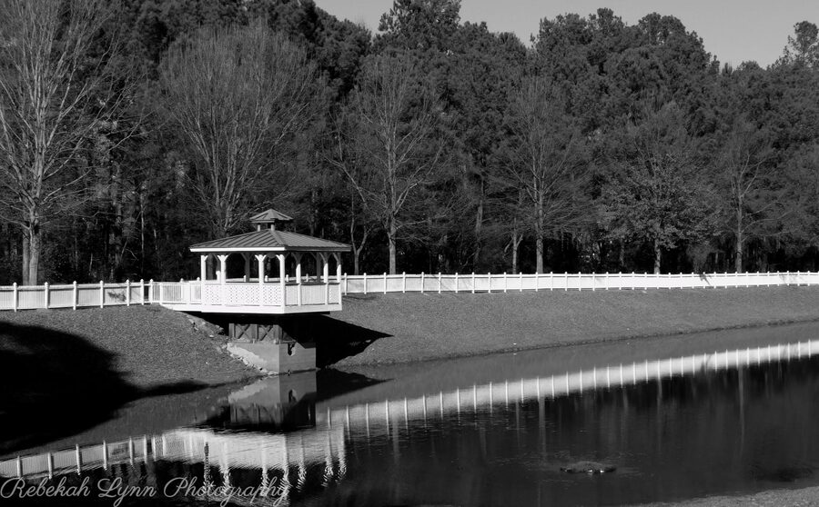 Monochrome, photo 9