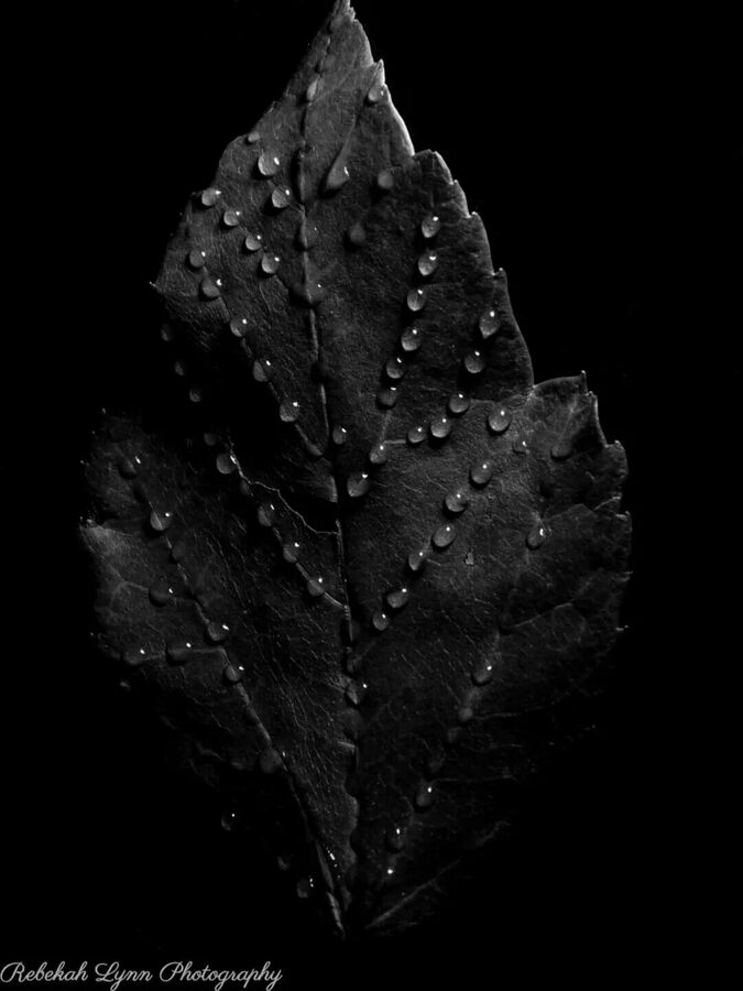 Monochrome, photo 6