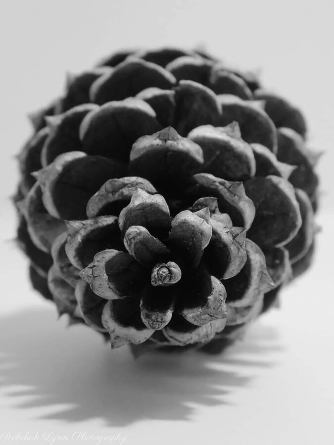 Monochrome, photo 5