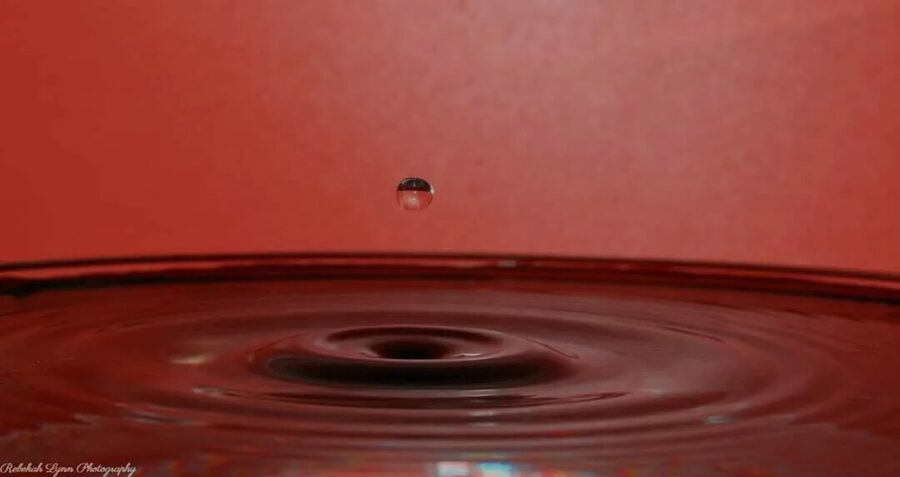 Water Drops, photo 16
