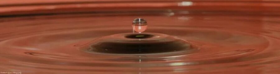Water Drops, photo 12