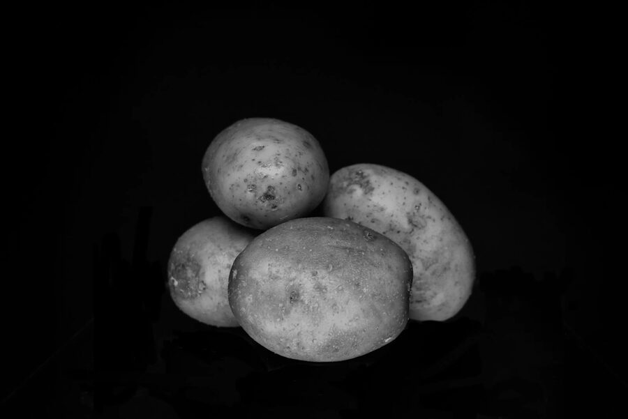 Still Life, photo 8