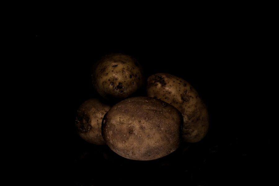 Still Life, photo 7