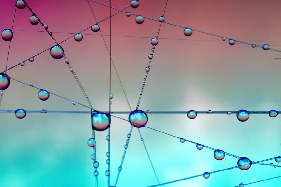 Dew Lines, photo 7