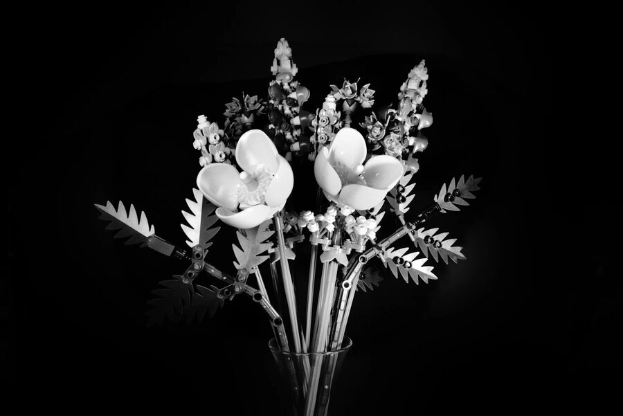 Monochrome, photo 2