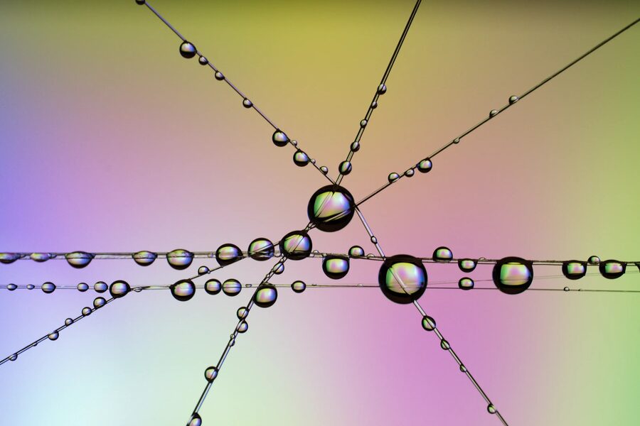 Dew Lines, photo 5