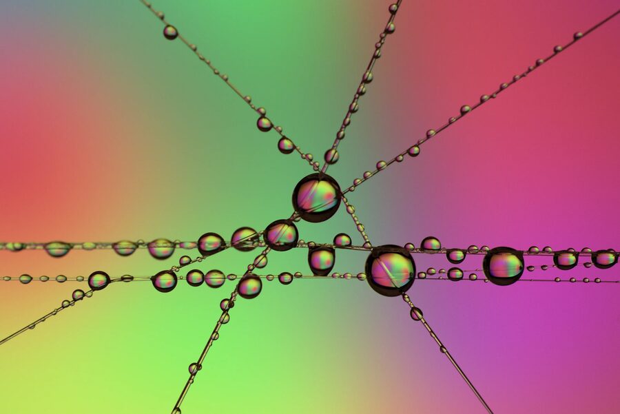 Dew Lines, photo 3