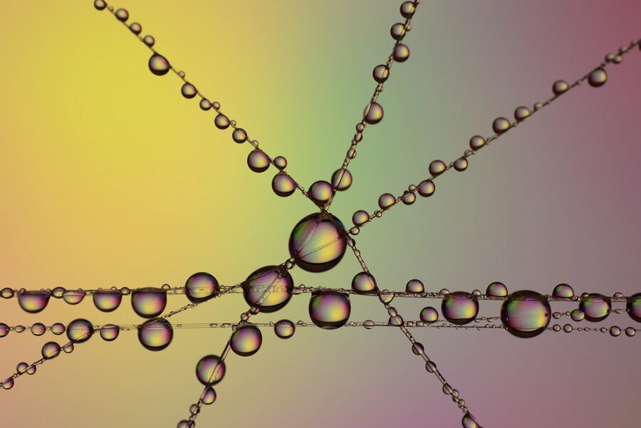 Dew Lines, photo 2