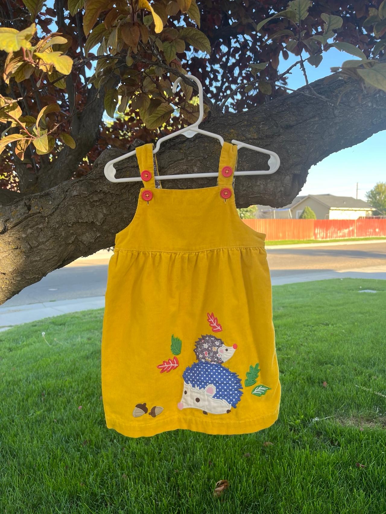 $28.50 - Baby boden fall Pinnie