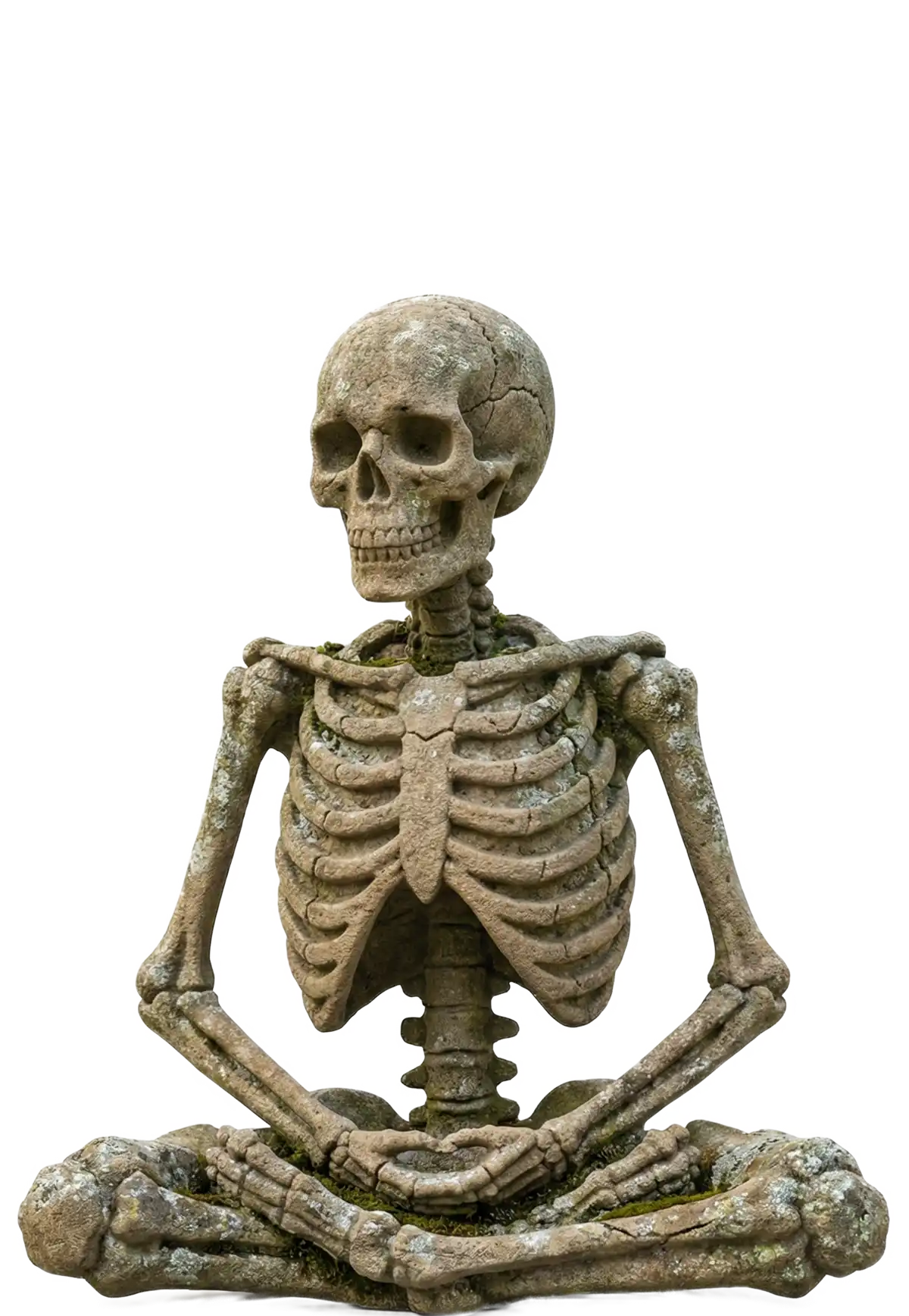 zen_skeleton.webp