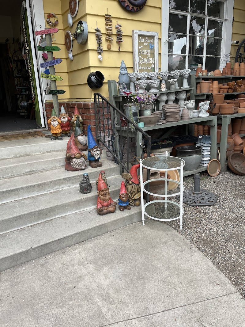 Dragonfly Shops & Gardens