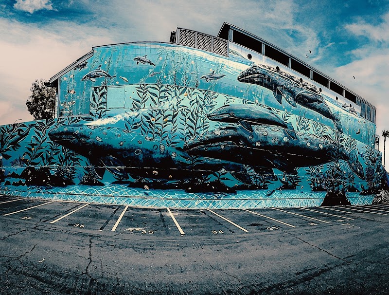 place_image Wyland Galleries LLC