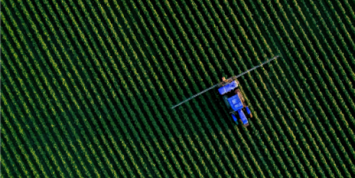 Crop monitoring
