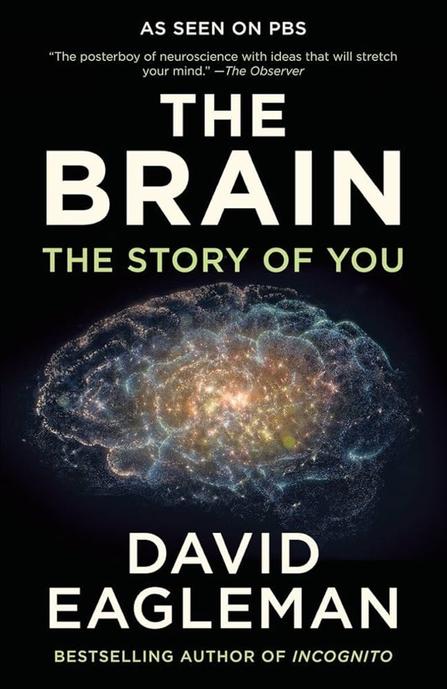 The Brain: The Story if You
