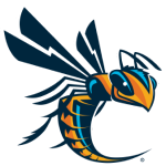 Cedarville Yellow Jackets logo