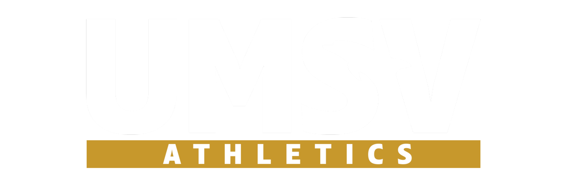 Mount Saint Vincent Dolphins logo