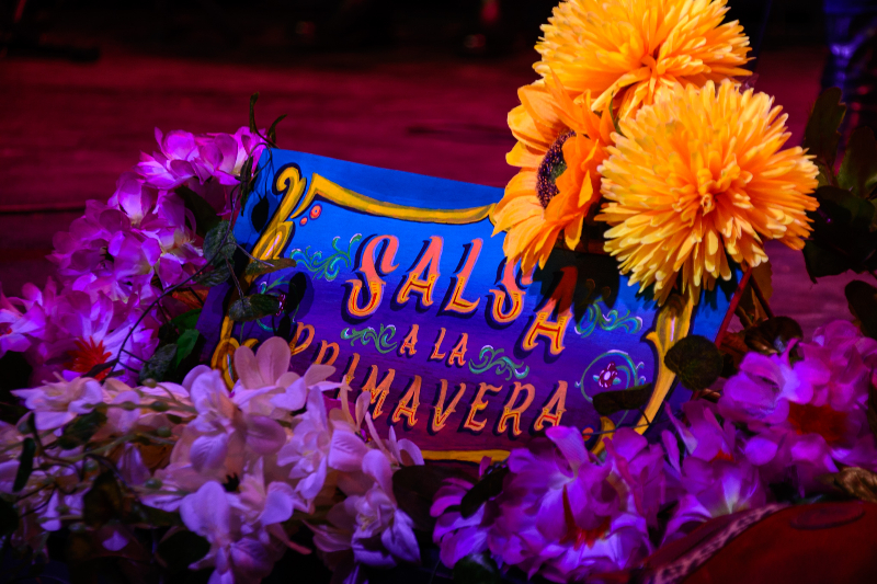 Salsa a la Primavera Chile