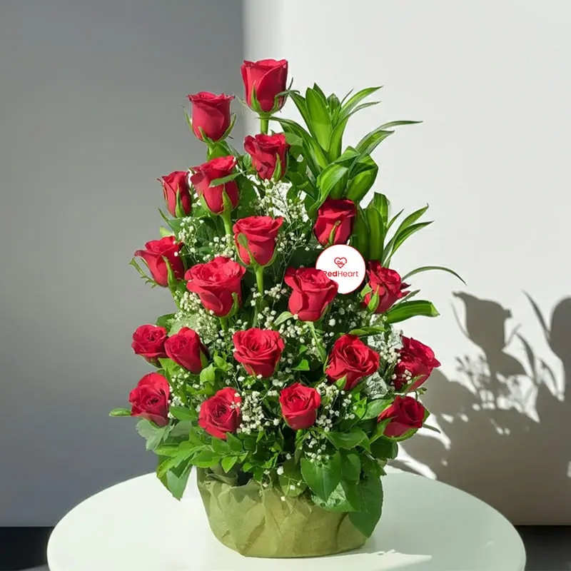25 Red Roses