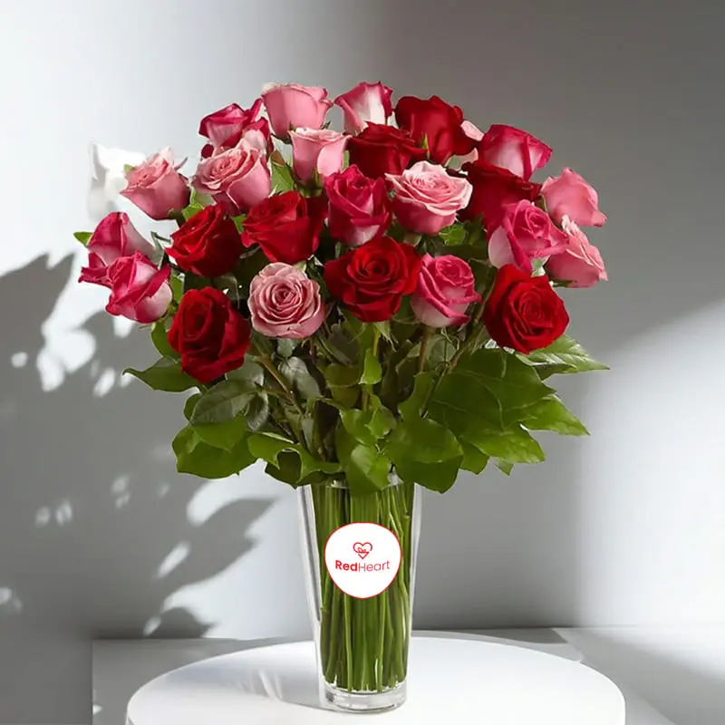 20 Red And Pink Roses