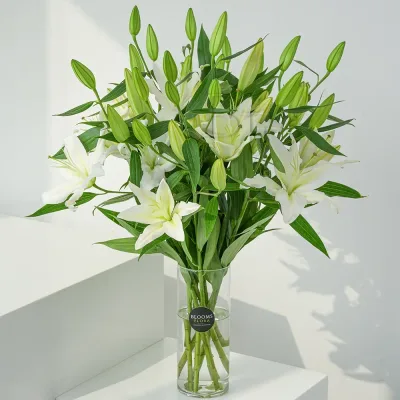 Ivory Bloom Haven - White Lily Glass Vase by RedHeart