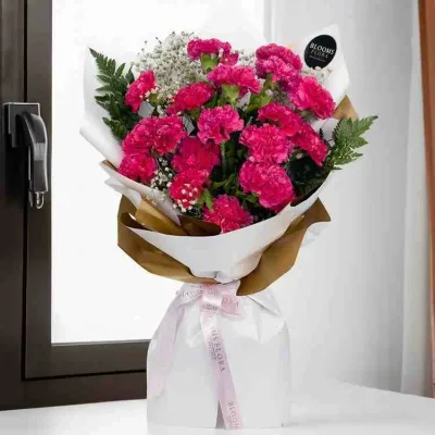 Blush Royale Carnations by RedHeart